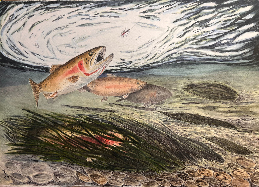 How Trout See Your Fly: A Fly Fisher’s Guide to Fooling Fish in Clear Water