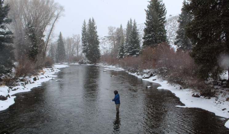 Five Effective Nymph Patterns for Winter Fly Fishing on the Taylor Riv ...