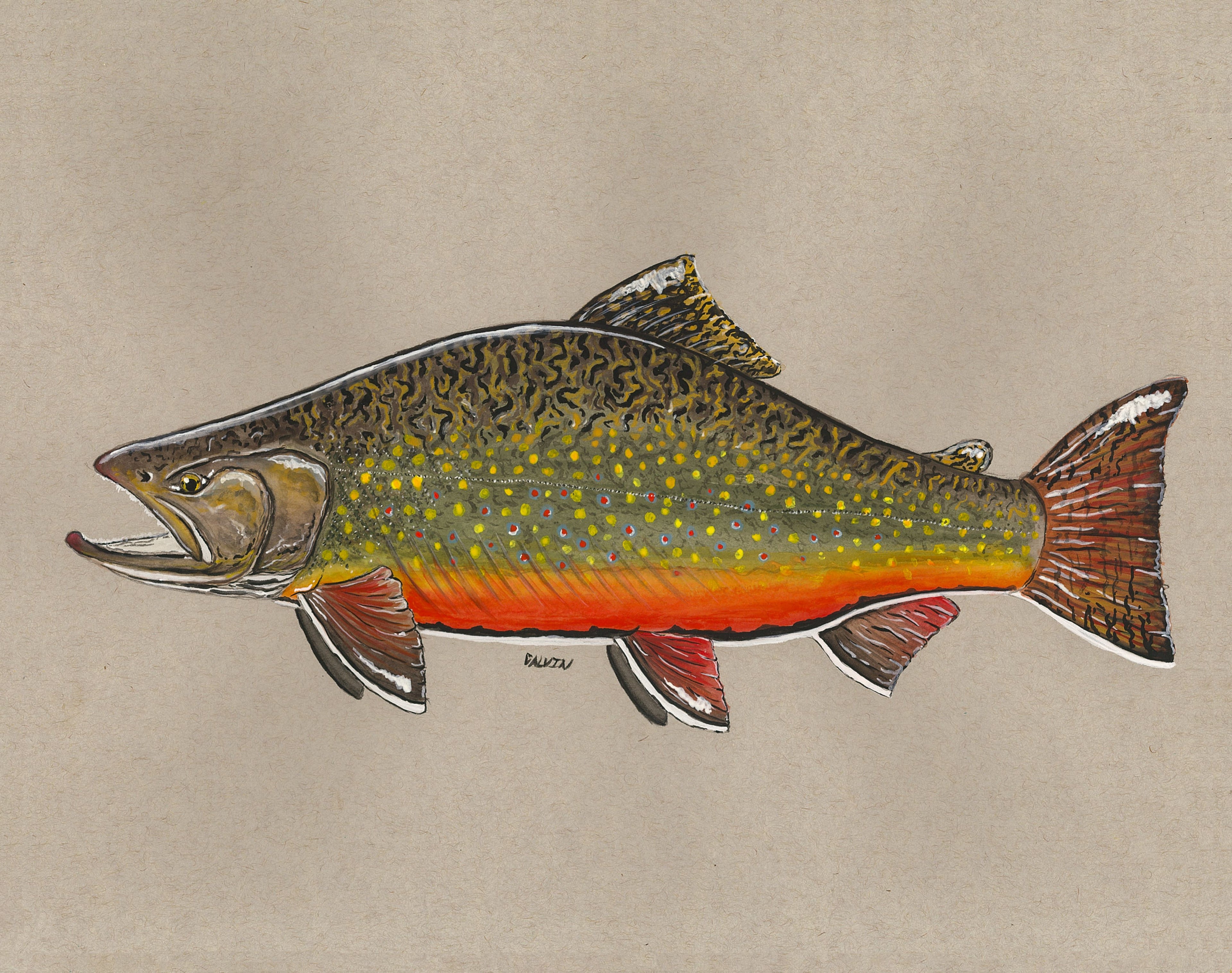 Watercolor Brookie – Brook Trout Art Print (11×14)
