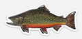 Brook Trout Vinyl Sticker (3x5) – Waterproof Fly Fishing Art by Calvin Filer