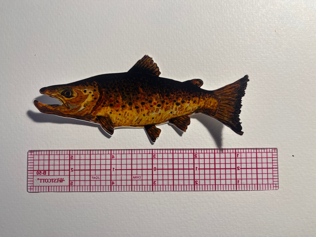 Model of a fish next to a ruler on a white background