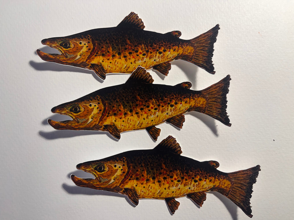 Three Brown Trout Vinyl Stickers on a white background