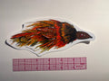 Fly Fishing Streamer with a ruler for scale on a white background