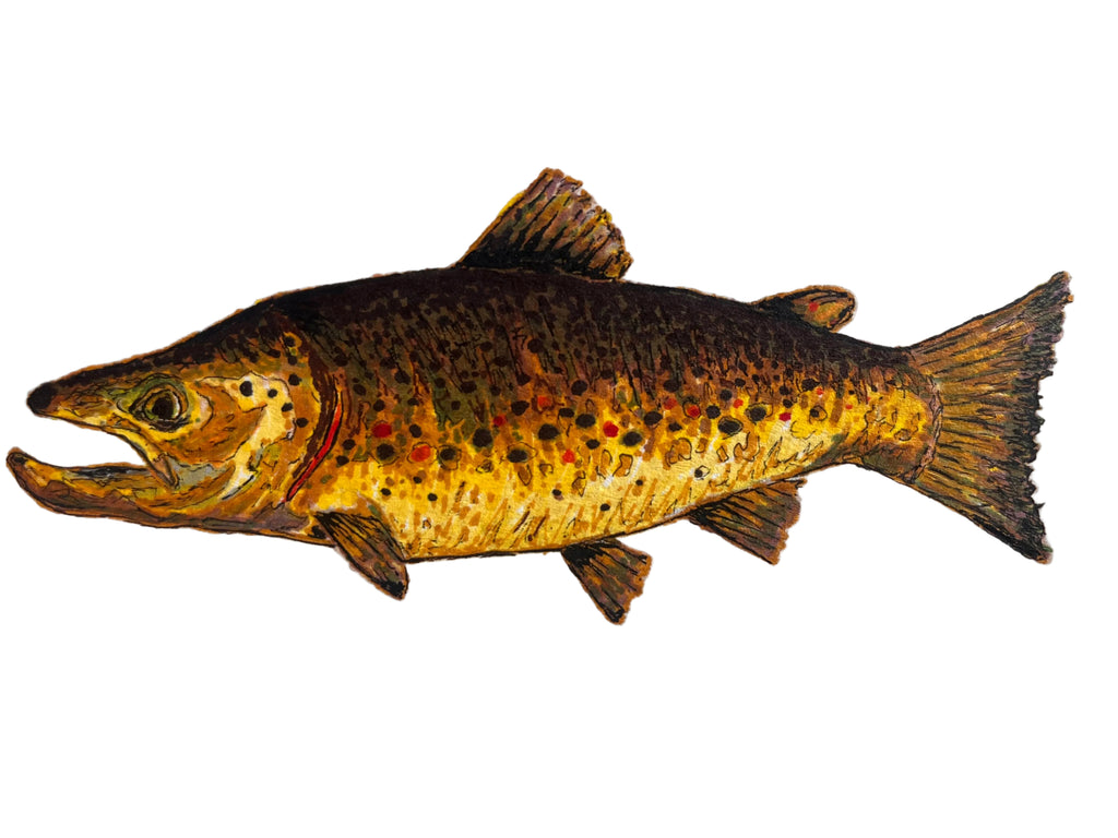 Brown Trout Vinyl Sticker – 3×2 Waterproof Fly Fishing Sticker by Nolan Bluntzer