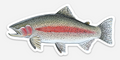 Rainbow Trout Vinyl Sticker (3x5) – Waterproof Fly Fishing Art by Calvin Filer