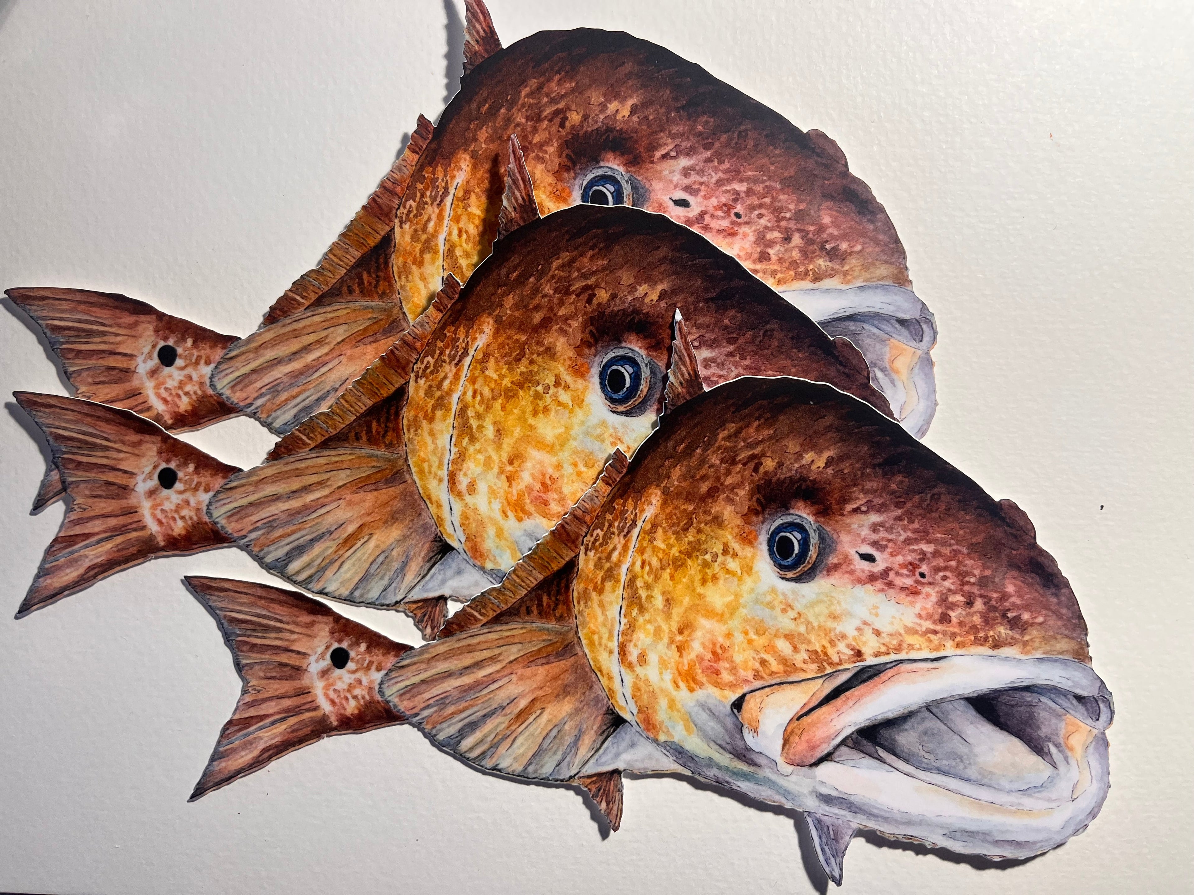 Illustration of three Red fish on a white background
