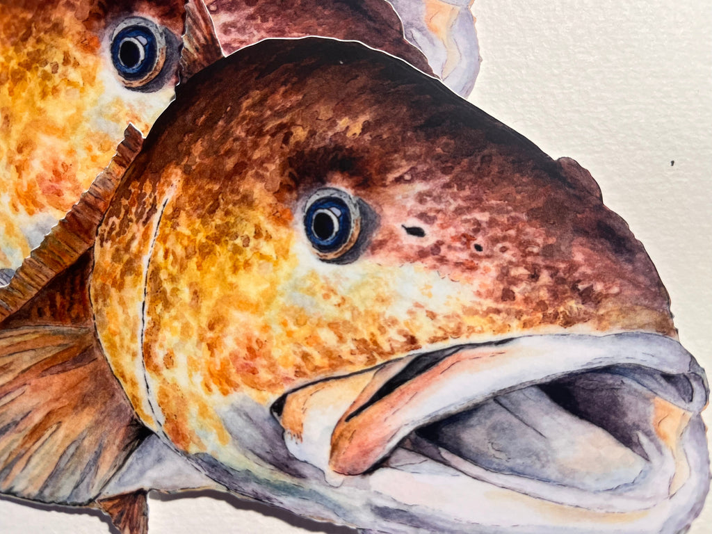 Close-up of a detailed fish illustration with a textured background