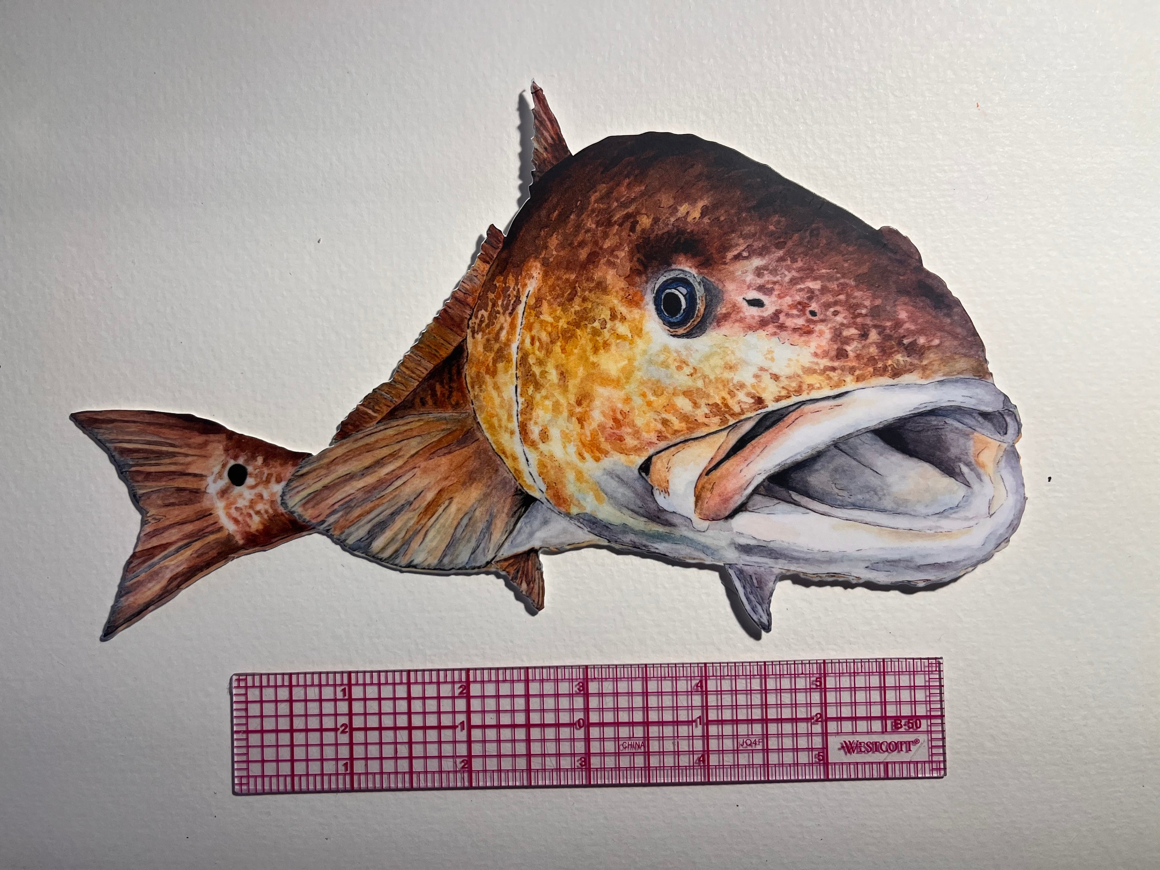 Realistic fishsticker with a ruler for scale on a plain background